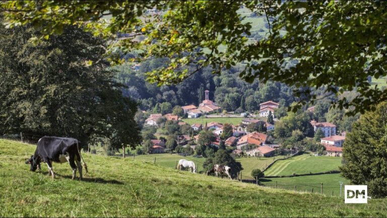 Guía de Festivales de Música en Fermoselle