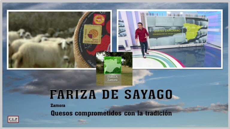 Guía para Comprar Pan Artesanal en Fermoselle