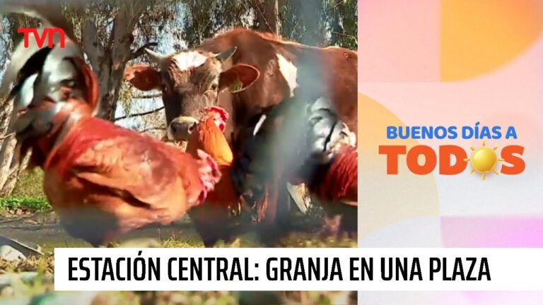 Descubre las Plazas Públicas de Toro