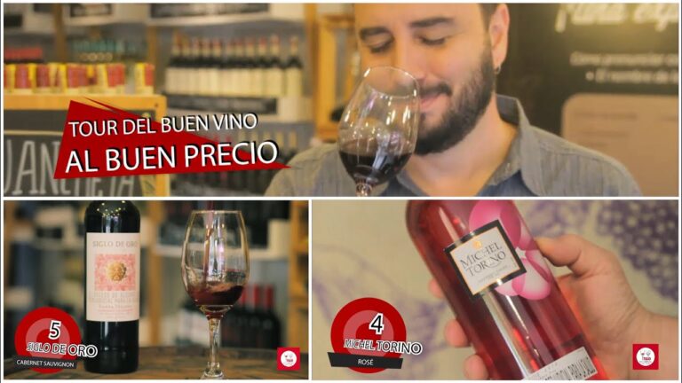 Las Mejores Opciones para Disfrutar una Copa en Morales del Vino