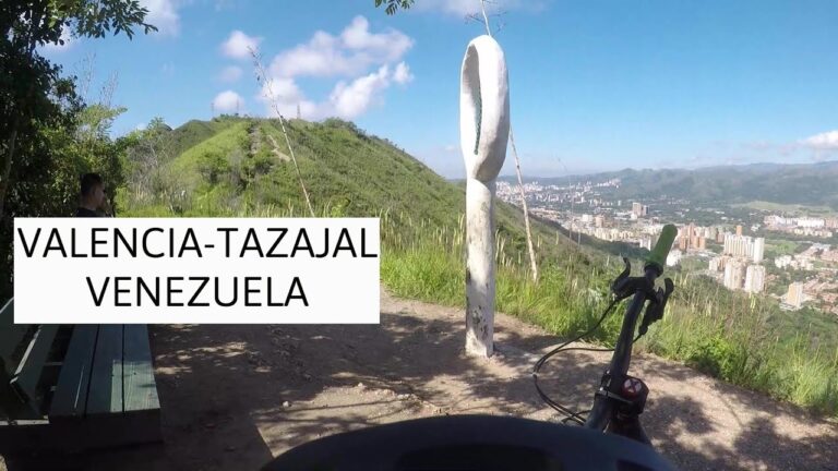 Mejores Rutas de Ciclismo de Montaña Cerca de Morales del Vino