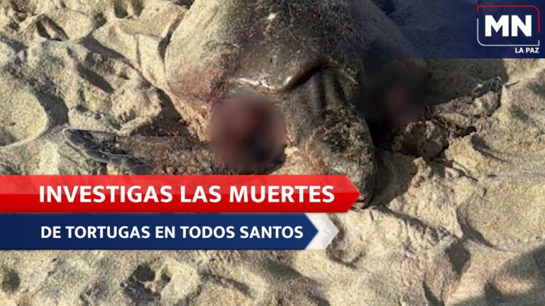 Playas para Perros Cerca de Villalpando