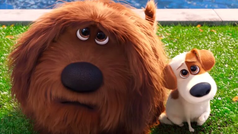 Parques con Área de Mascotas en Morales del Vino