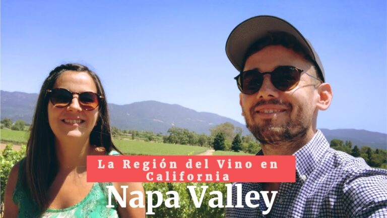 Los Mejores Lugares para Hacer Picnic en Morales del Vino